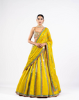 Moss Green Mirror Seam Lehenga Set