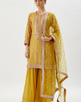 Aditi Sharara Set