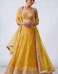 Malini Lehenga Set
