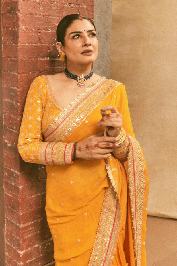 Dilruba Saree Set