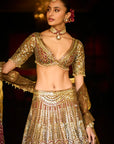 Applique Mirror Work Lehenga Set