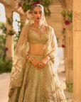 Sage Green Applique Work Lehenga Set