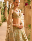 Sage Green Applique Work Lehenga Set