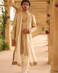 Champagne Sherwani Set