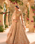 Nude Gold Applique Work Lehenga Set