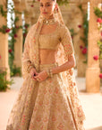 Nude Gold Applique Work Lehenga Set