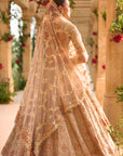 Nude Gold Applique Work Lehenga Set