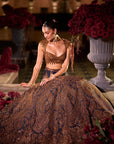 Navy Blue Paisely Lehenga Set