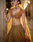 Gold Paisely Lehenga Set