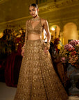 Antique Gold Sequin Lehenga Set