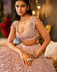 Dusty Peach Sequin Lehenga Set