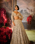 Ivory Sequin Lehenga Set