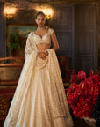 Ivory Crystal Lehenga Set