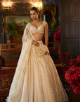 Ivory Crystal Lehenga Set