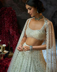 Milky White Sequin Lehenga Set