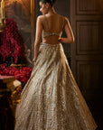 Gold Silver Lehenga Set