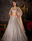 Dusty Mauve Lehenga Set