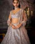 Dusty Mauve Lehenga Set