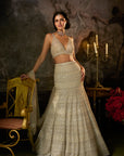 Champagne Nude Fit & Flare Skirt Set