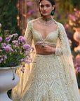 Sage Green Sequin Lehenga Set