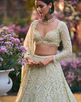 Sage Green Sequin Lehenga Set