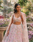 Light Pink Sequin Lehenga Set