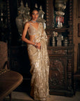 Nude Applique Saree 3