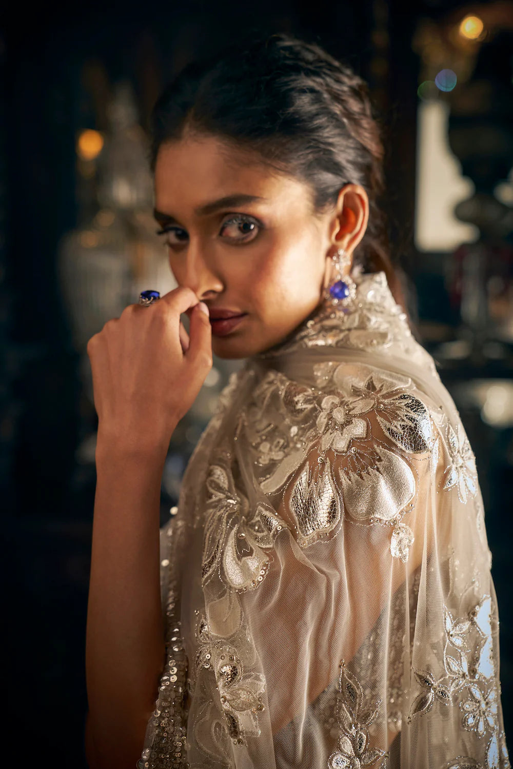Nude Applique Saree 2