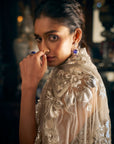 Nude Applique Saree 2