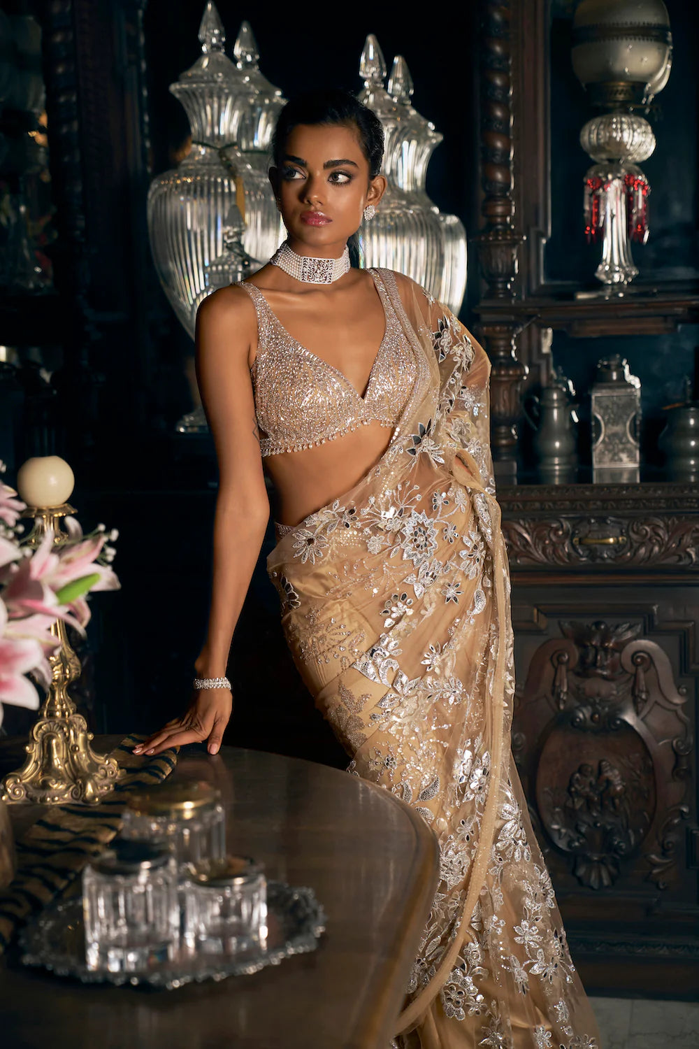Nude Silver Applique Saree 3