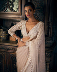 Nude Sequin Saree 2