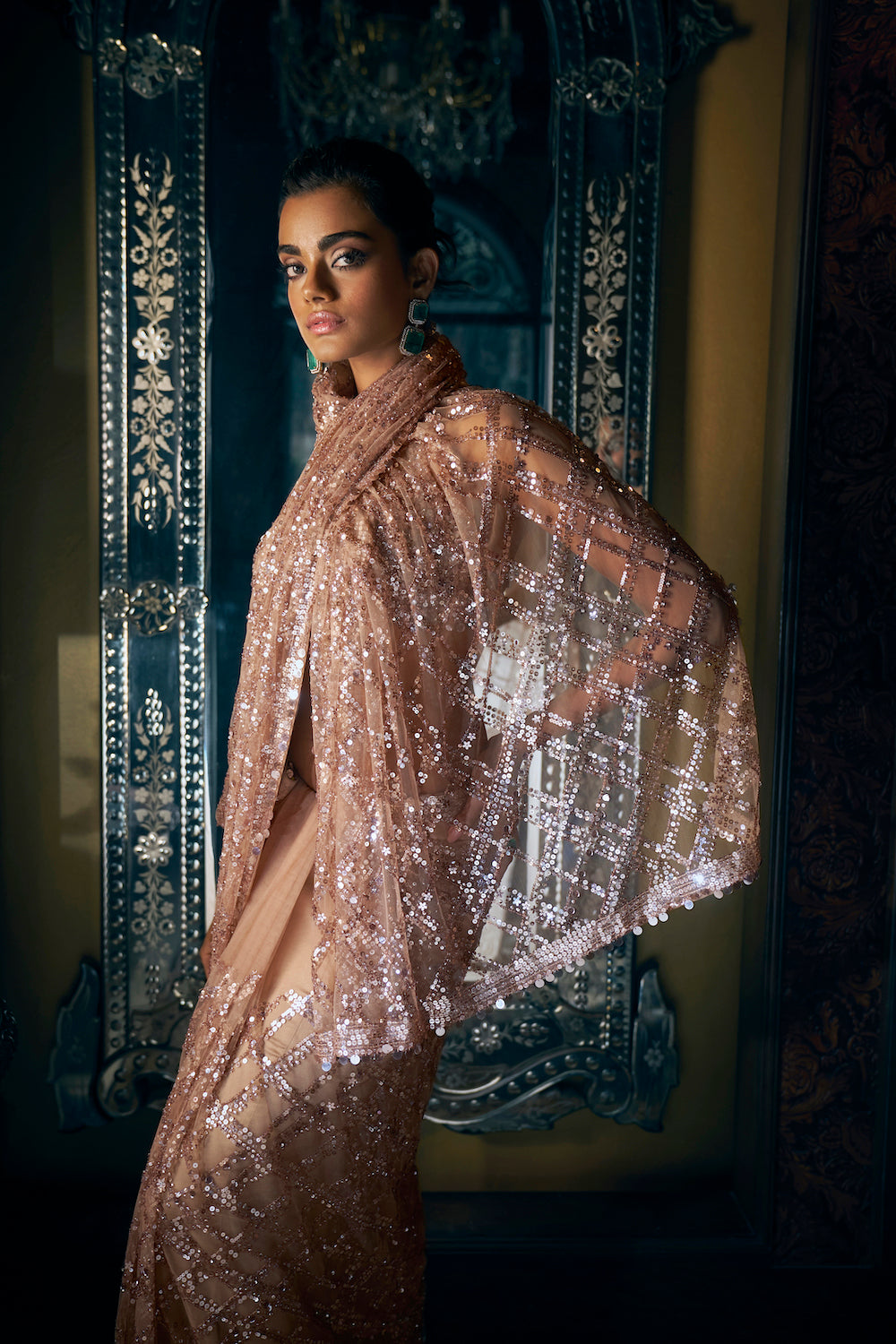 Coffee Brown sequin saree 2