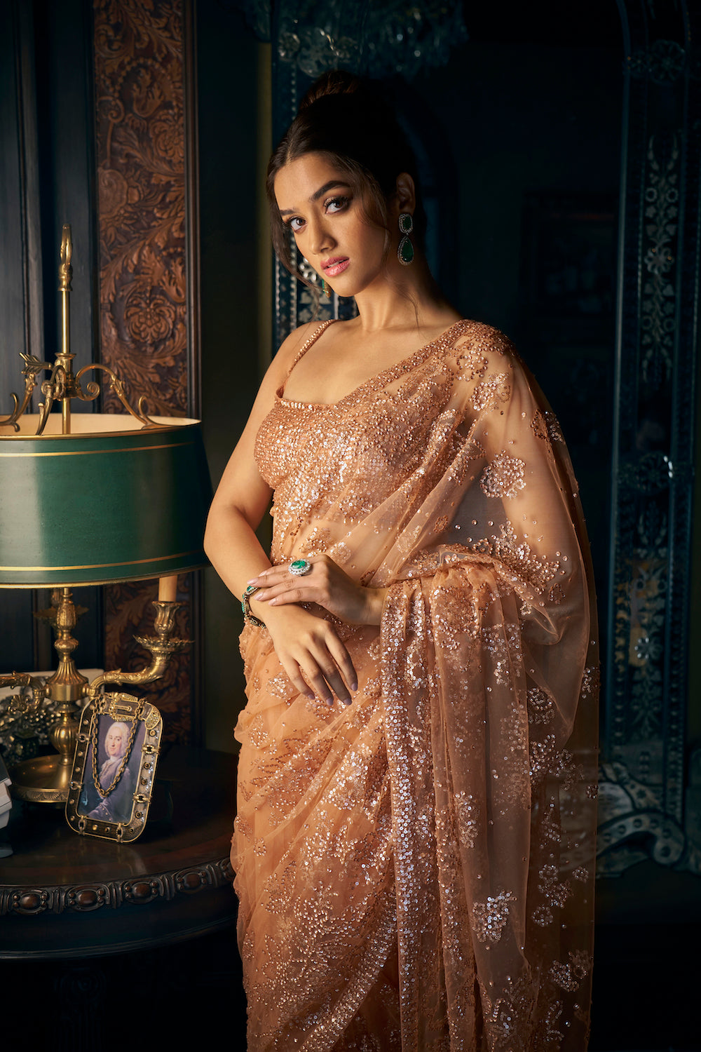 Copper Sequin Saree 2