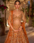 Rust Zardosi Cut Work Lehenga Set