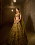 Green Velvet Zardosi Lehenga Set