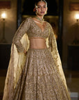 Nude Antique Gold Lehenga Set