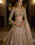 Nude Antique Gold Lehenga Set