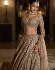 Nude Antique Gold Lehenga Set