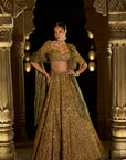 Antique Gold Sequin Lehenga Set