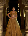 Antique Gold Lehenga Set