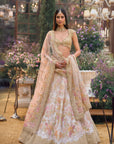 Multi-Coloured Applique Lehenga Set