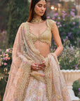 Multi-Coloured Applique Lehenga Set