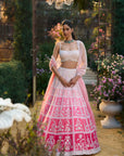 Ombre Pink Lehenga Set