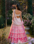Ombre Pink Lehenga Set