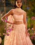 Candy Pink Three-Dimensional Lehenga Set