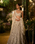Ice Grey Pearl Lehenga Set