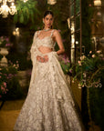 Ice Grey Pearl Lehenga Set