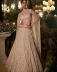 Coffee Sequin Lehenga Set