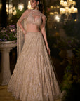 Coffee Sequin Lehenga Set