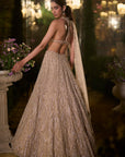 Coffee Sequin Lehenga Set